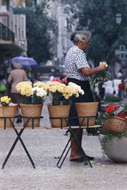 X FLORES01 NEGOCIO ESTABLECIMIENTO TIENDA VENTAS CONSUMO